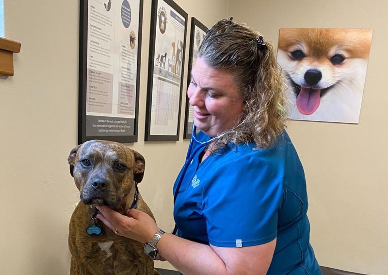 Carousel Slide 5: Read Dr. Edwards' Bio >>