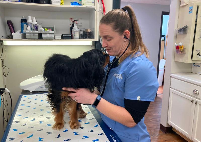 Carousel Slide 6: Meet Dr. Jensch and read her bio>>