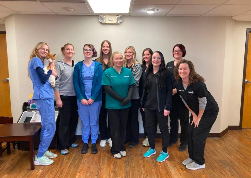 Carousel Slide 4: Meet the Team>>